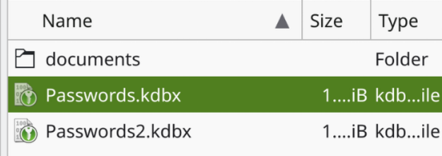 select database from file manager